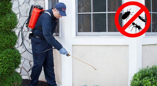 Tirebolu Hamam Böceği İlaçlama böcek ilaçlama ve haşere kontrolü — ilaclama-tr.com